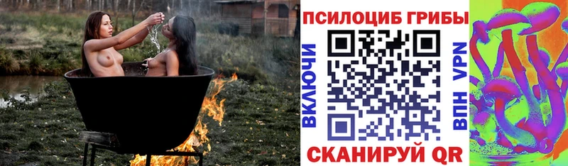 ссылка на мегу ссылки  Западная Двина  Псилоцибиновые грибы Magic Shrooms 