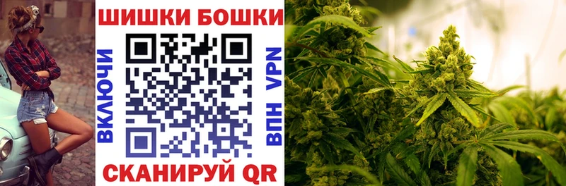 Шишки марихуана гибрид  mega   Западная Двина  продажа наркотиков 
